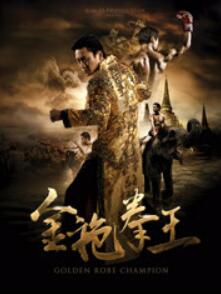 金袍拳王免费观看