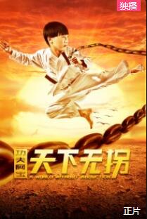 功夫阿宝：天下无拐免费观看
