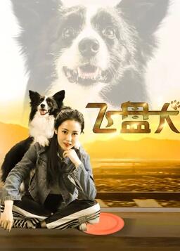 飞盘犬免费观看