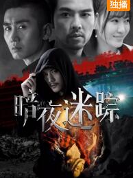暗夜迷踪免费观看