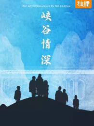 峡谷情深免费观看