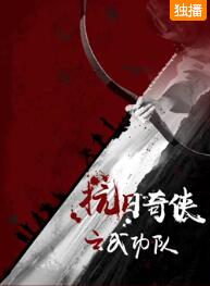 抗日奇侠之武功队免费观看