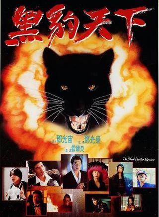 黑豹天下免费观看