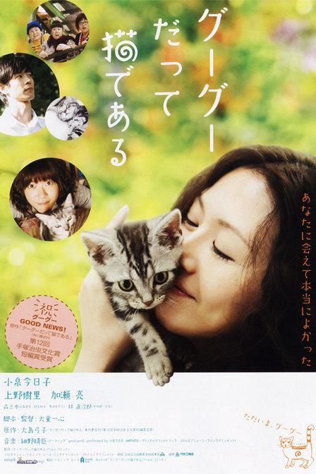 咕咕是一只猫免费观看