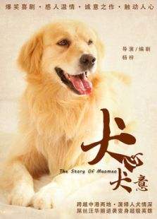 犬心犬意免费观看