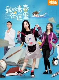 我的青春在这里免费观看