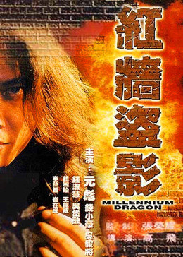 红墙盗影免费观看