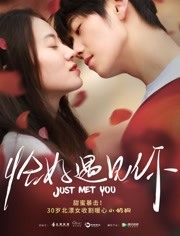 恰好遇见你免费观看