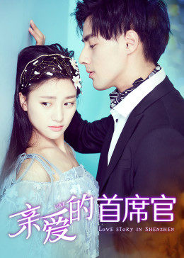 亲爱的首席官免费观看