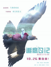 追鹰日记免费观看