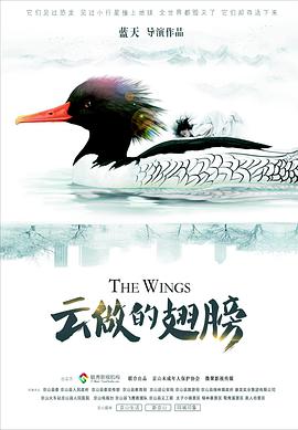 云做的翅膀免费观看