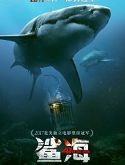 鲨海免费观看
