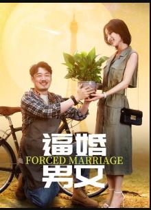 逼婚男女免费观看