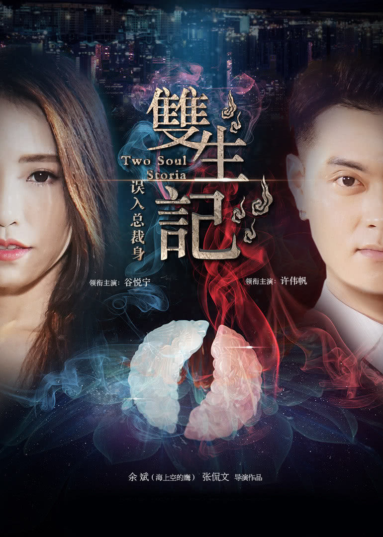 双生记之误入总裁身免费观看