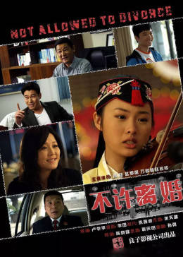 不许离婚免费观看