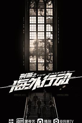 刑警之海外行动免费观看