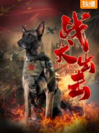 战犬出击免费观看
