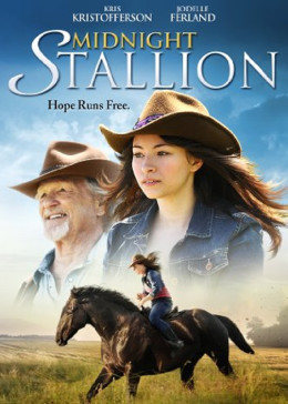 午夜种马免费观看