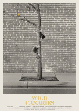 楼上楼下免费观看