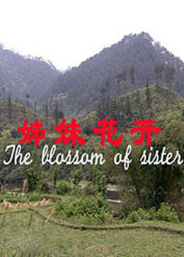 姊妹花开免费观看
