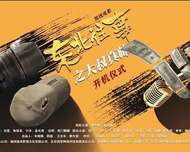 东北往事之大叔真帅免费观看