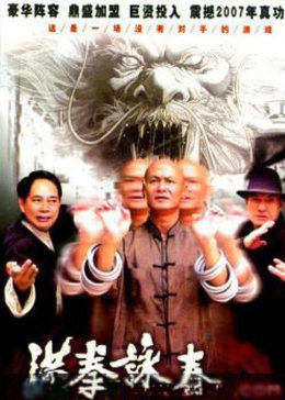 洪拳咏春免费观看