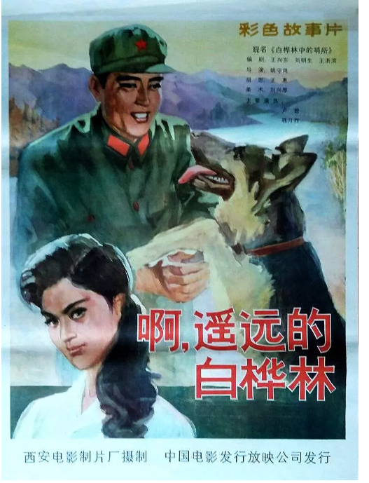 白桦林中的哨所免费观看