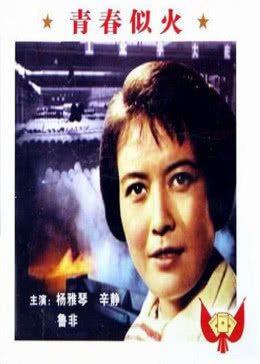 青春似火免费观看