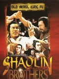 少林兄弟免费观看