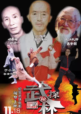 武林探秘免费观看