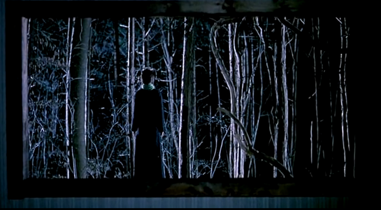 蜘蛛丛林免费观看