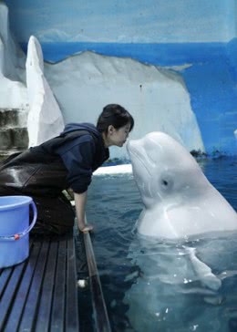 人间值得免费观看