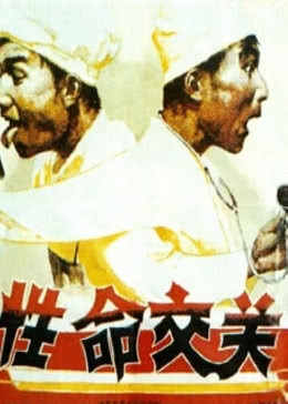 性命交关免费观看