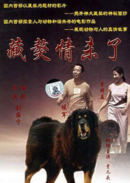 藏獒情未了免费观看