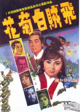 飞贼白菊花免费观看