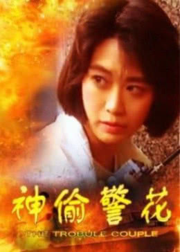 神偷警花免费观看