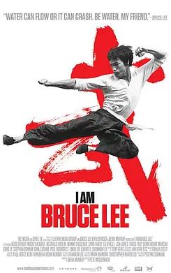 我是李小龙免费观看