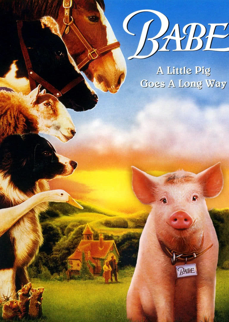 小猪宝贝免费观看