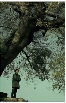 等你回家免费观看