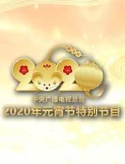 2020央视元宵特别节目免费观看