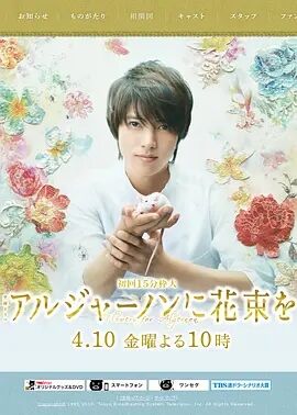 献给阿尔吉侬的花束免费观看