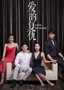 爱的复仇免费观看
