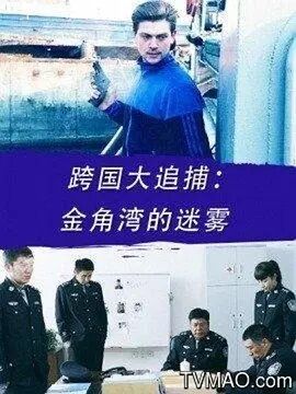 跨国大追捕：金角湾的迷雾免费观看