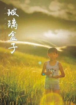 玻璃盒子免费观看