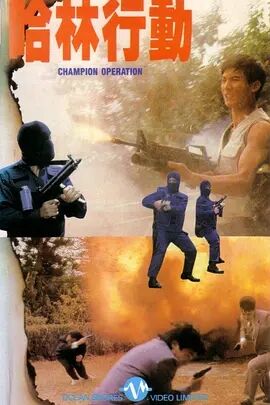 哈林行动免费观看