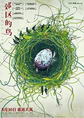 郊区的鸟免费观看