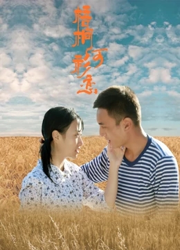 梧桐河衫恋免费观看