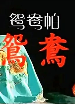 鸳鸯帕免费观看