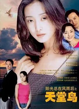 阳光总在风雨后之天堂鸟免费观看