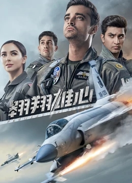 翱翔雄心免费观看